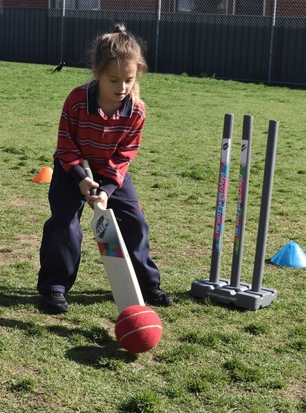 SACA Cricket Clinic 0824 (4)